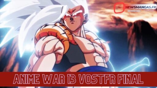 ANIME WAR 13 VOSTFR FINAL