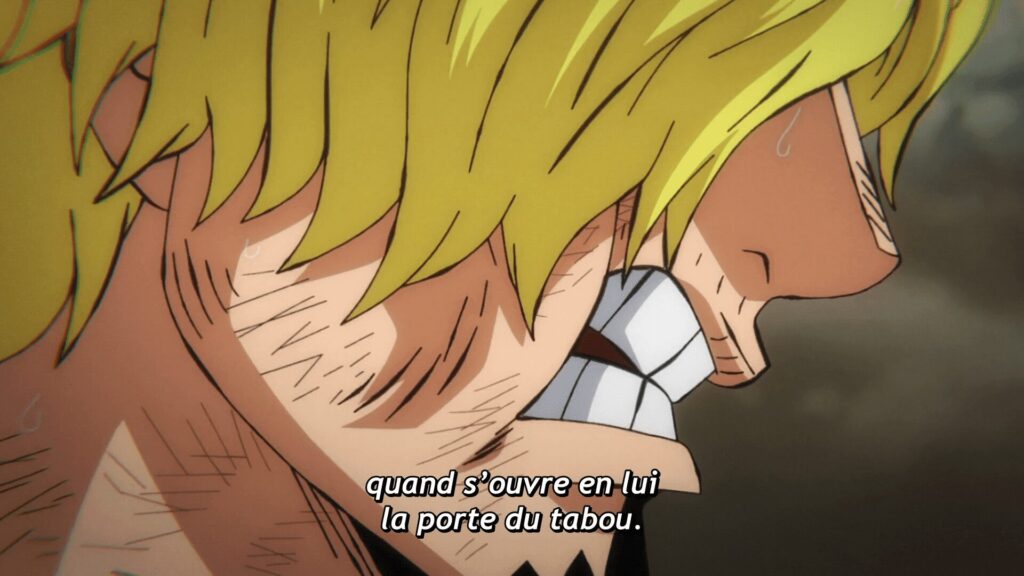 Zoro et Sanji : Des Combats Cruciaux et des Questions Brûlantes !